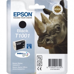 Atramentová kazeta Epson T1001, black 